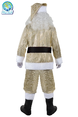 BABBO NATALE ADULTO BROCCATO ORO